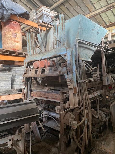 Fleming MF3 & Patio King Block plants