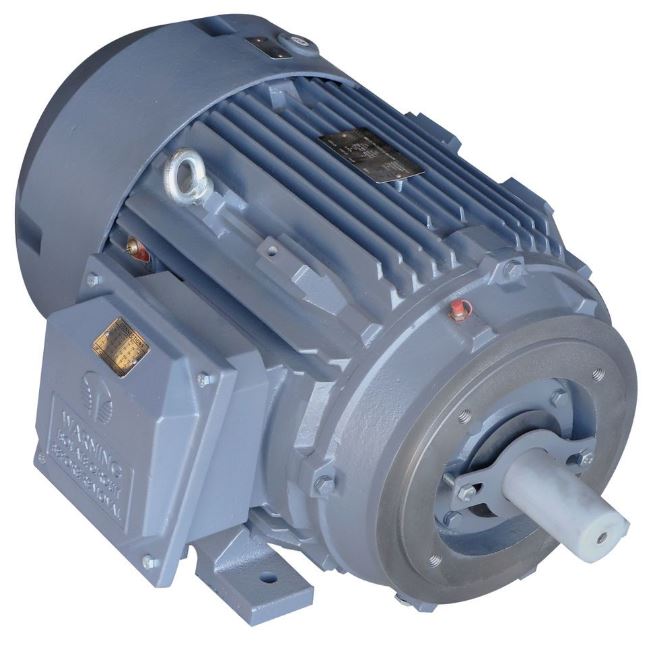 WAM - Screw Conveyor Motor