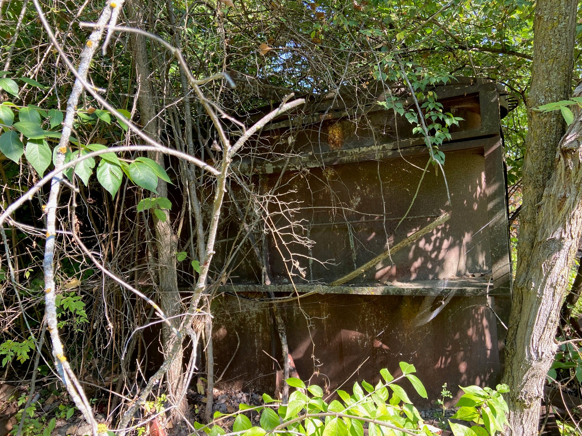 Septic Tanks