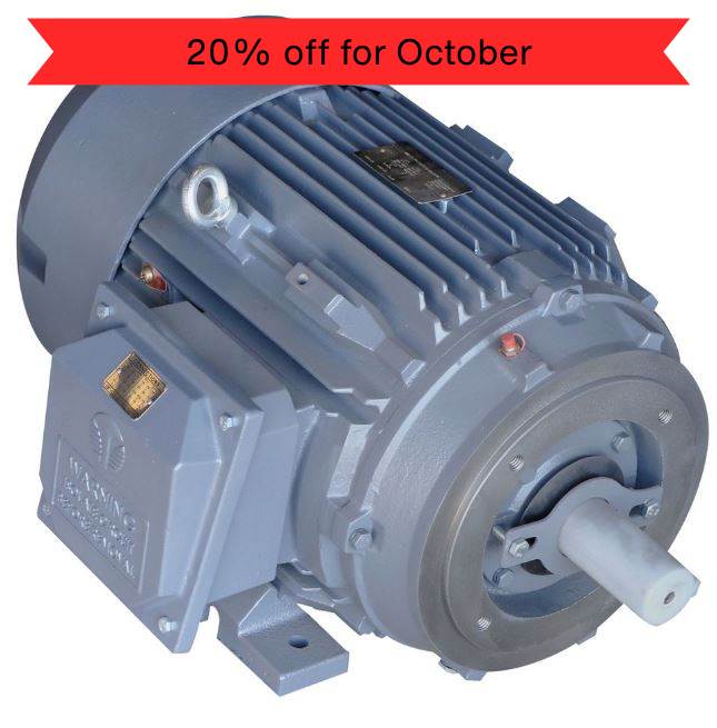 WAM - Screw Conveyor Motor