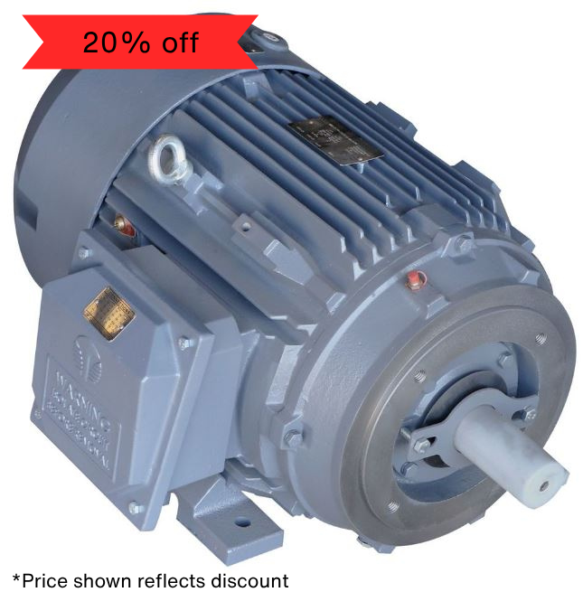 WAM - Screw Conveyor Motor