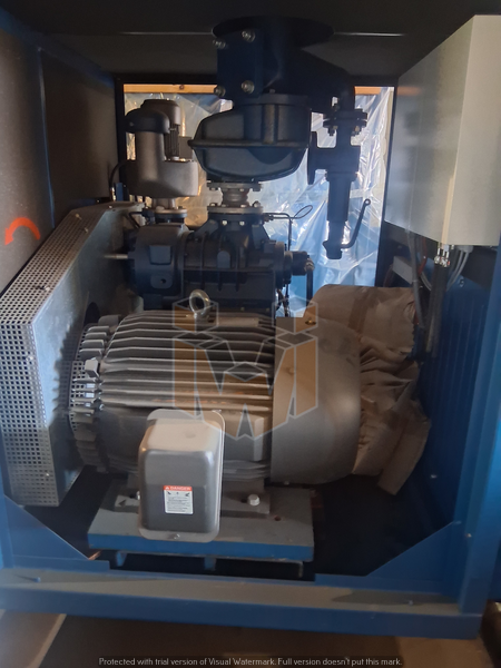 Delta Screw Compressor