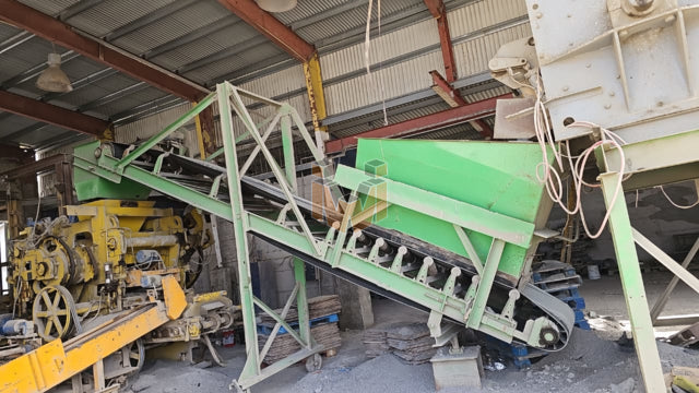 Besser V3-12 plant