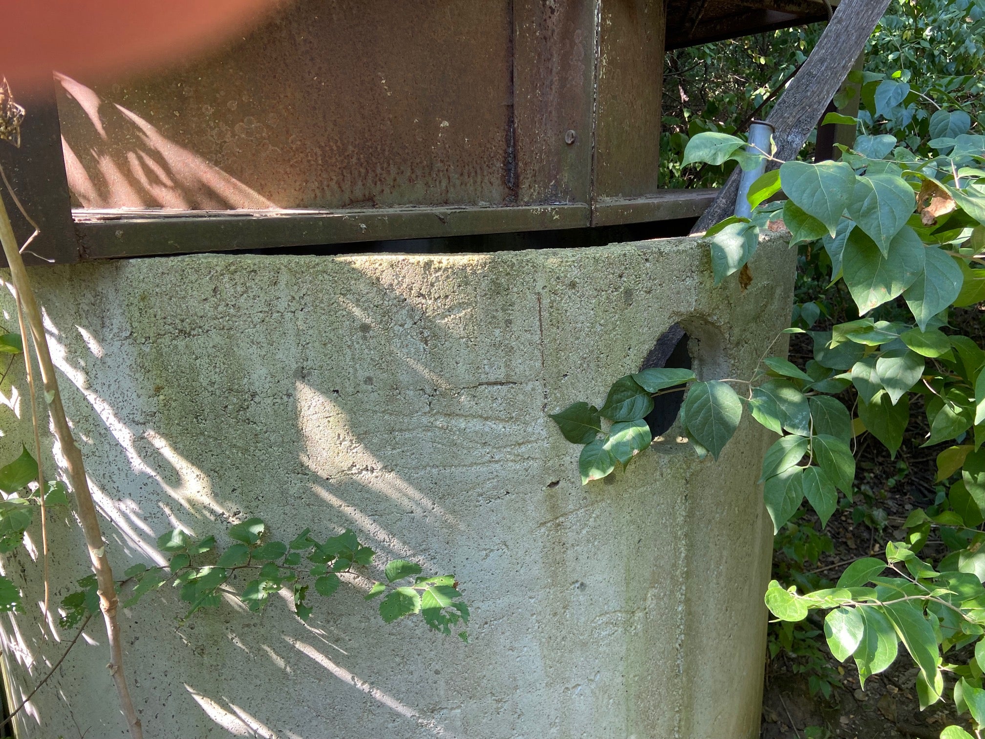 Septic Tanks