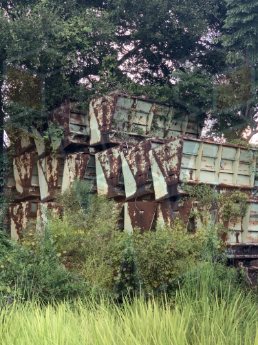 Barrier Wall Forms